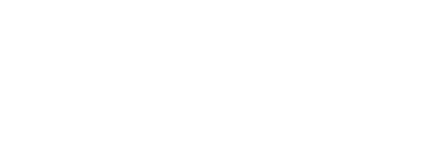 Image stating Spiricoin has been audited by contract wolf.