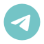 telegram brand logo social icon